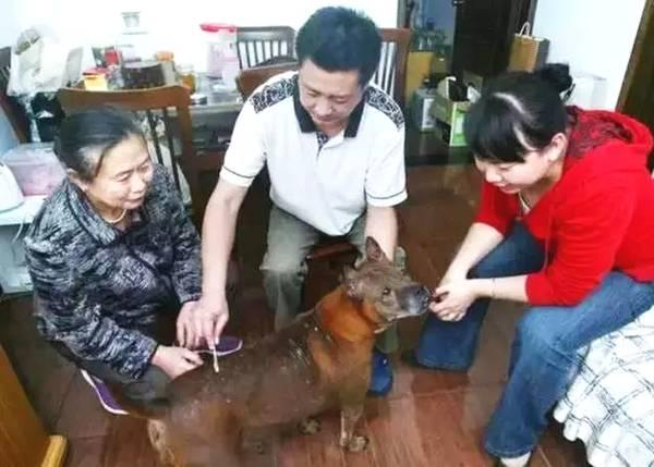 2狗与3米多蟒蛇激战7分钟，幼犬疑被生吞下肚