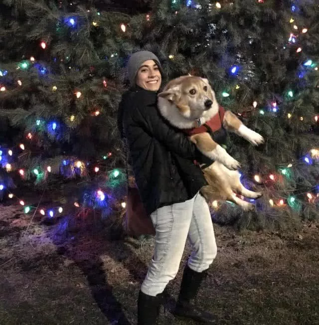 这只柯基比别人大整整一倍!主人:人家不胖,只是骨架有点大!