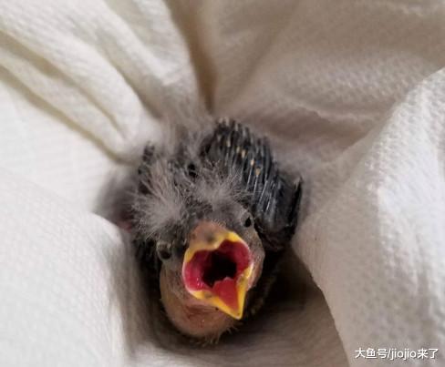 女司机正准备拒载一群醉汉，当看到其手上的东西后打开了车门……