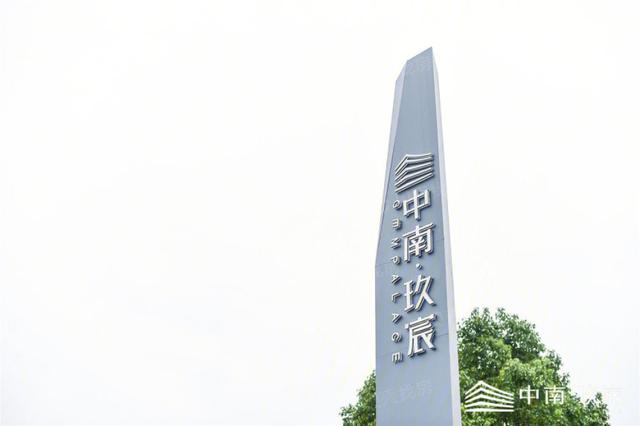 中南玖宸楼盘距离快速路太近 ，噪音困扰是个问题