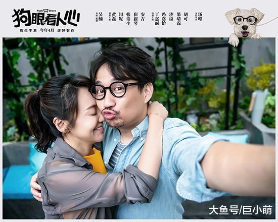 爱犬护主被藏獒咬死！狗咬狗变人斗人，看黄磊闫妮为爱犬讨公道