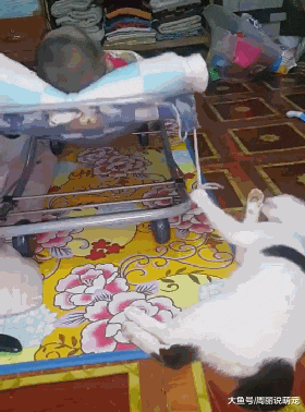 孩子睡觉时猫总跟过去，主人不放心过去看了一眼，却看到了这幕！