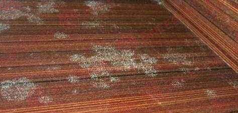 过来人30条装修建议，实实在在硬道理，我家遭5连击，心凉到谷底