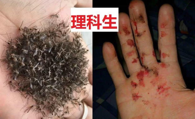 理科生：我抓蚊子够狠，文科生：直接熏它，体育生：都看我的