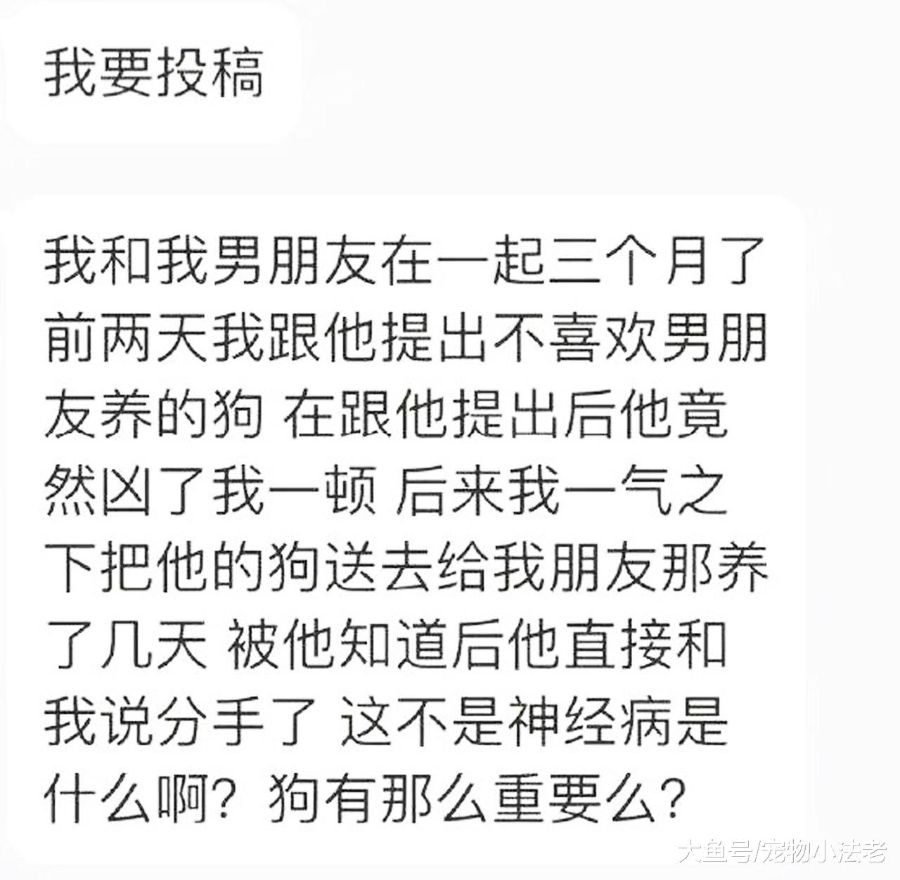 女子生气，偷偷将男朋友养了5年的爱犬送人，是你的话会怎么办！