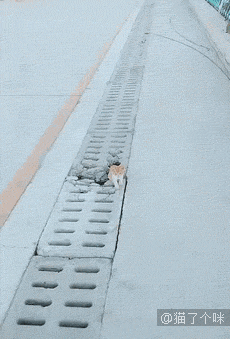 糟糕，喵星通往地球的次元壁破了