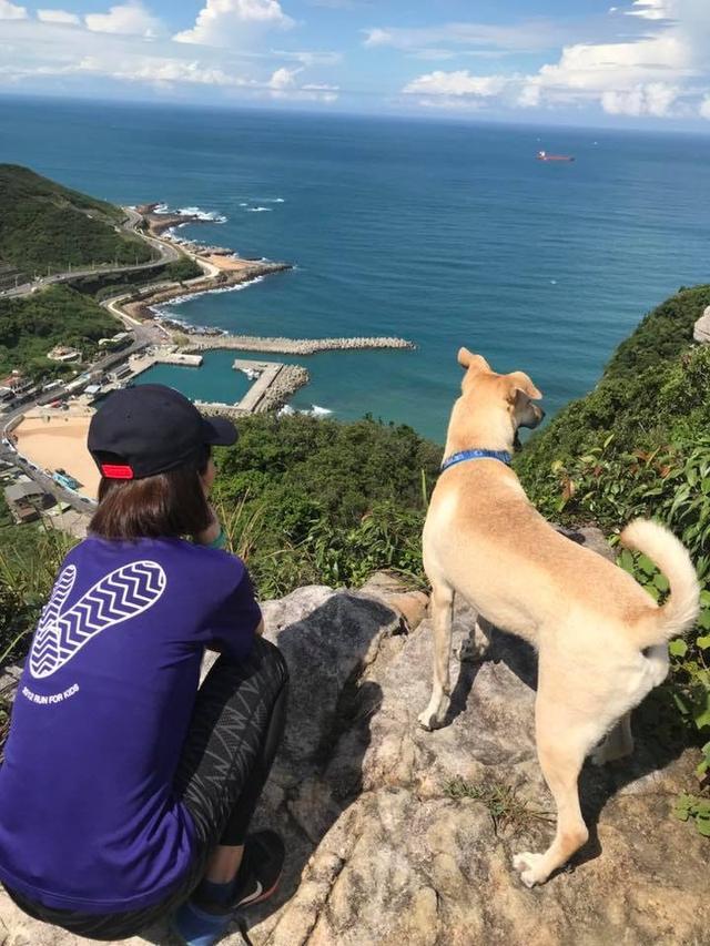 被遗弃过的狗狗有多害怕失去, 散步的时候转个弯, 都要回头找主人