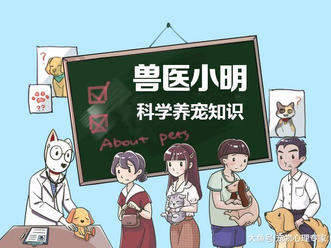 为什么有的猫不发腮？兽医：基因和性别起决定性作用