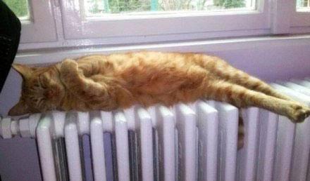 卷发器、加湿器、烘干机，解锁暖气片的神奇技能