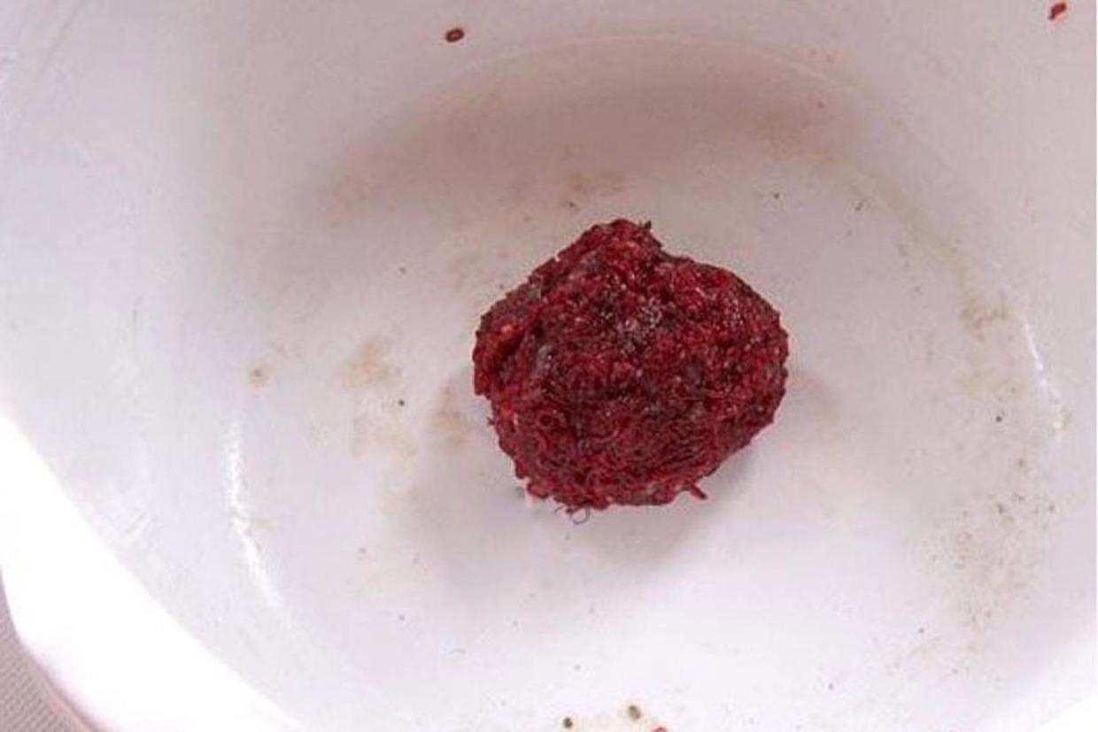 趁别人不注意挂鱼钩上，黑坑用红虫最好使，老钓手最明白