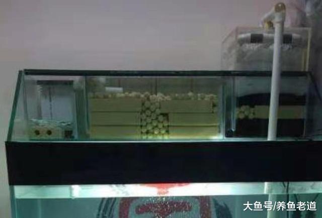 觀賞魚缸的上部過濾能把多重溢流和滴流相結合，效果會更好！
