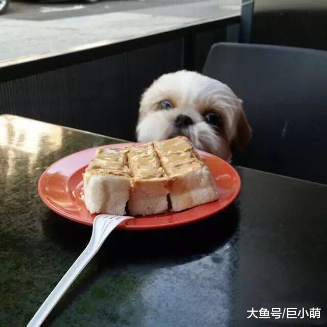 狗狗爱吃花生酱，但除了吃，花生酱还有什么用途？