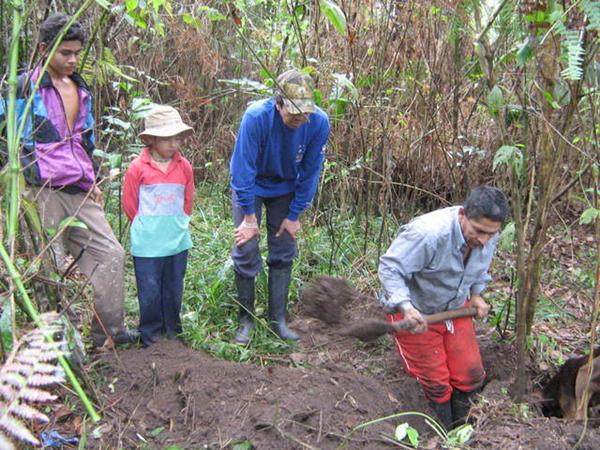 农夫在野外地面拼命挖掘让人好奇，结果发现的生物让不淡定了