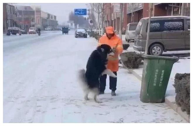 狗狗和环卫工成了熟人, 附近住户夸它: 一枚阳光大暖男