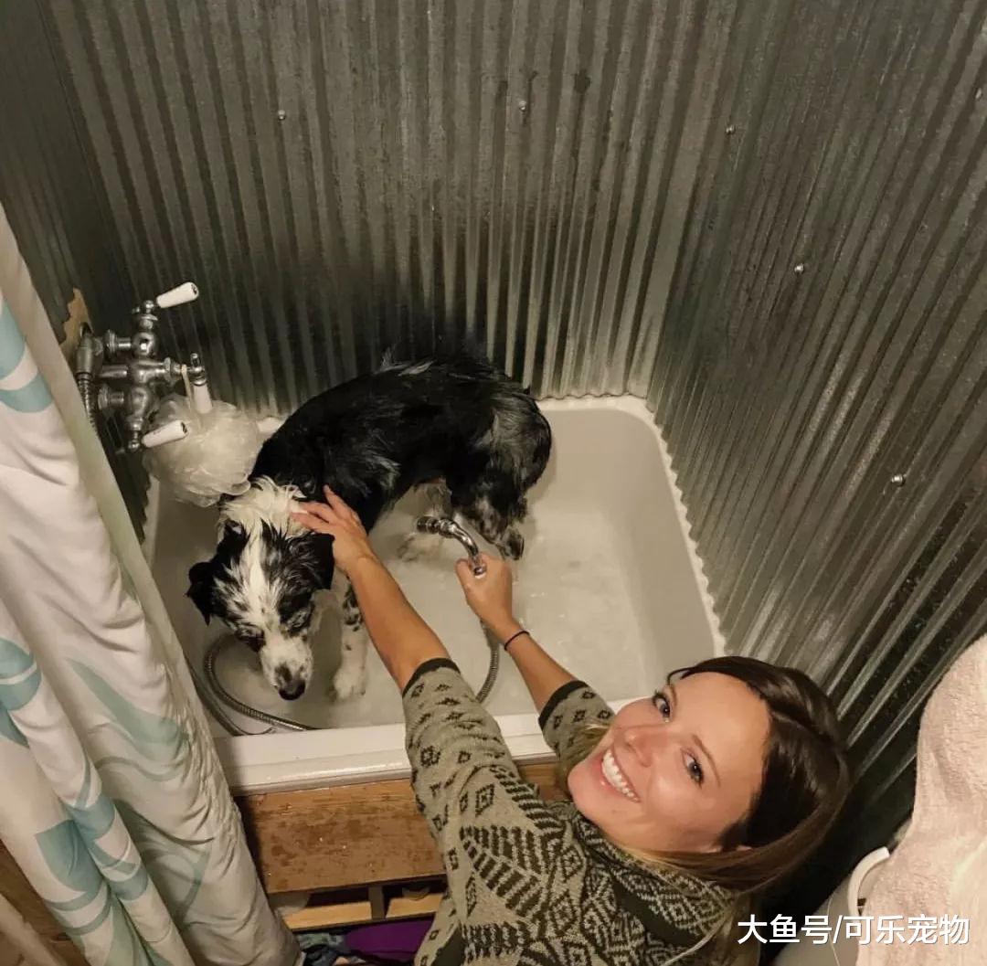 带着狗周游世界，还手工打造了“移动房屋”，这是多少人的梦想？