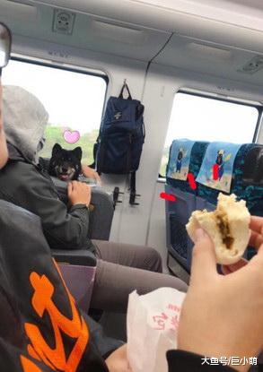 在车上吃肉包，隔壁柴犬疯狂卖笑勾引，吃完后狗狗笑容一秒不见