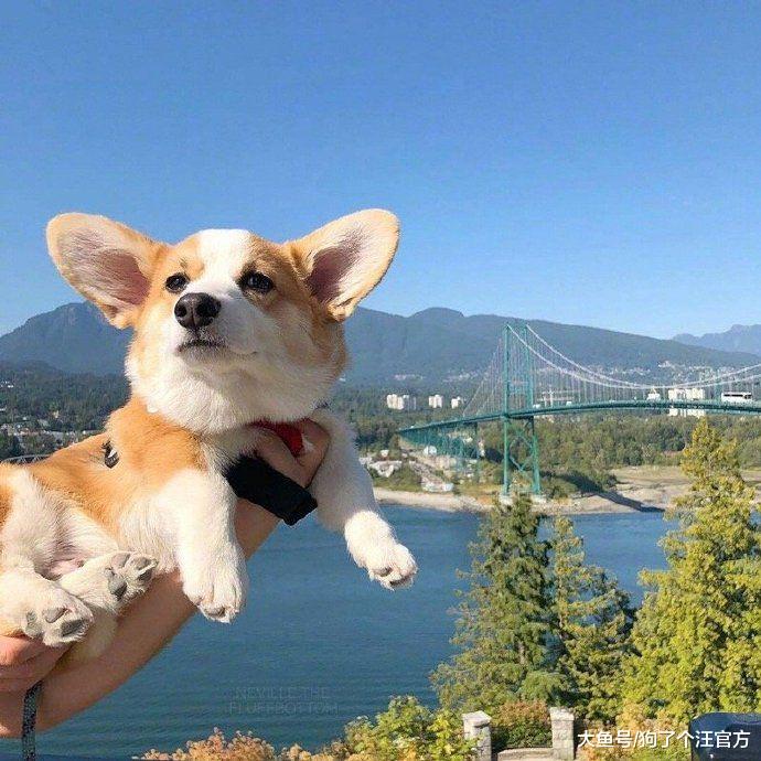 我对食物的渴望，超乎你的想象