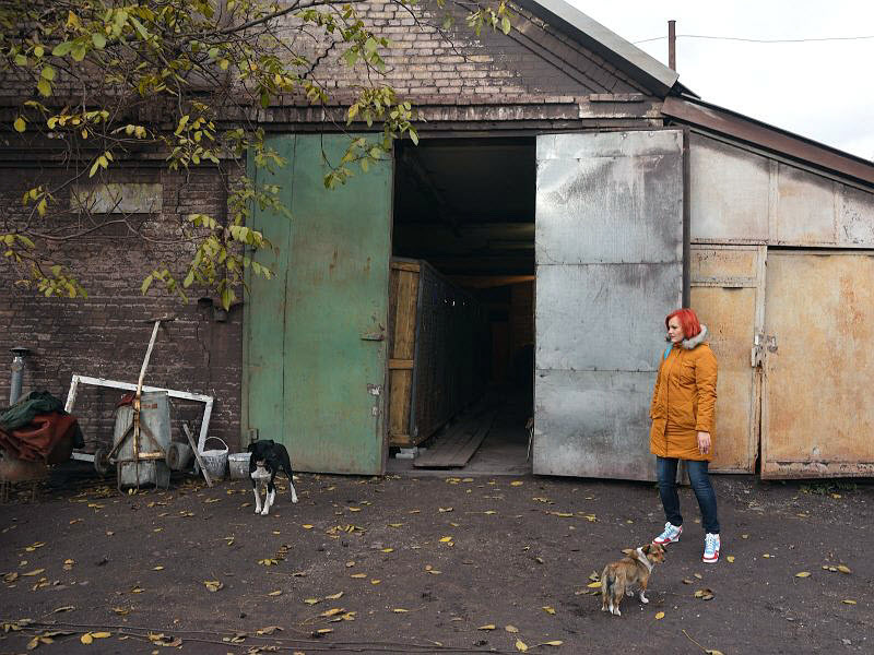 泪奔！因战争而流离失所2年的老流浪狗，终于回家了