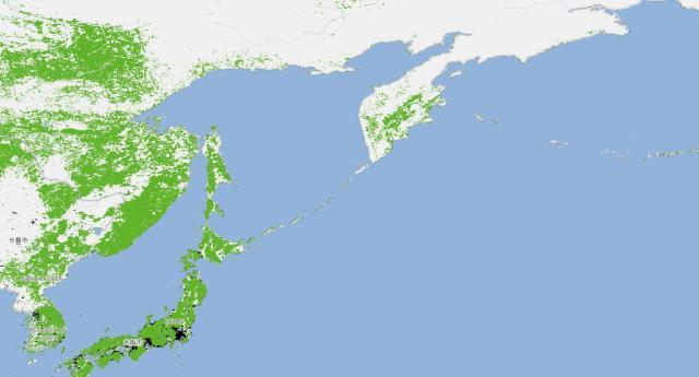 卫星看全球森林真相！中国沿海东北绿色多，日本，菲律宾几乎全绿色