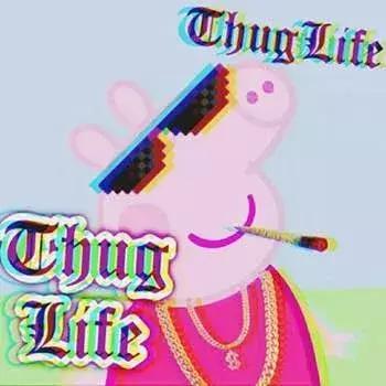 社会? 天棒? 成都楼市“佩奇”大放送: 中海惹众怒、中德长蘑菇…