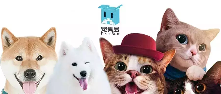 犬界专业名词解释及小知识集锦