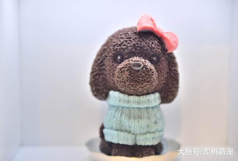 萌宠：泰迪最讨厌人们触碰的三个部位，即使主人也不行