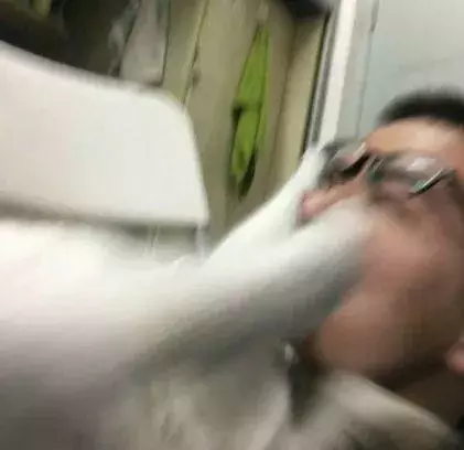 这位主人亲身给网友们示范，千万不要强行亲吻猫，要不然...