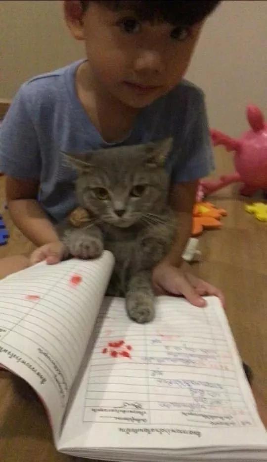 老师发的文件需要家长的签名，然后……