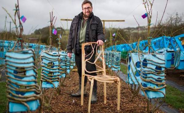 还记得那个“种出”250件家具的英国大叔吗？一把椅子买25万，现状如何？