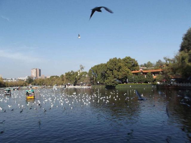 为什么成为越来越多人养老置业的首选地？昆明的这些亮点了解一下