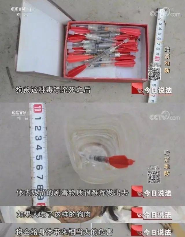 吃狗肉有益身体健康? 你可能不了解偷狗贼用的毒针