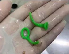 狗狗突然吐出小黄鸭，拍片发现肚里还有32只，兽医：胃口真好