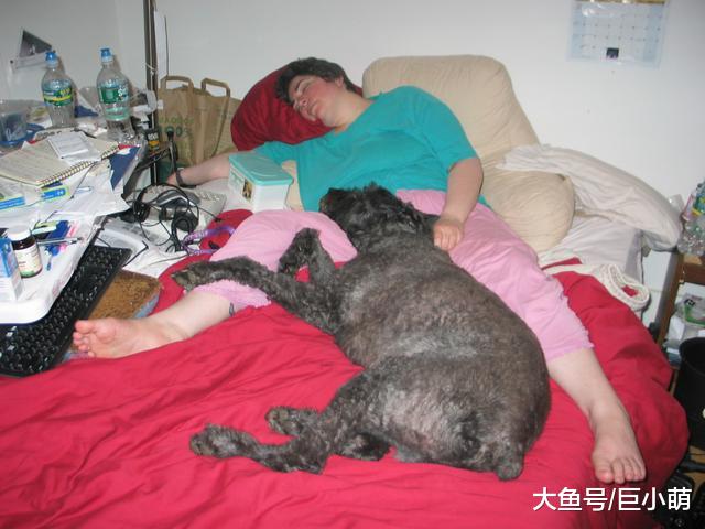 狗狗为什么喜欢坐在主人脚上？这五个理由，你觉得是哪个