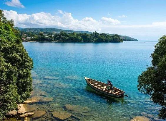 在马拉维湖见到的慈鲷, 怎么都这么凶?