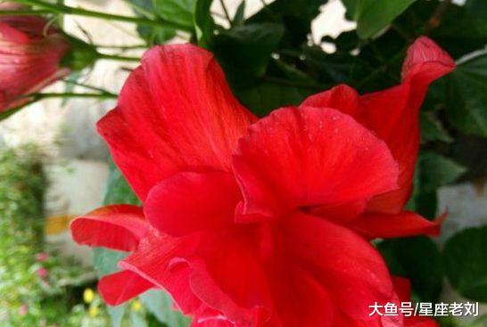 看似亲切和蔼，实际超级难相处的星座，与众不同，无欲无求