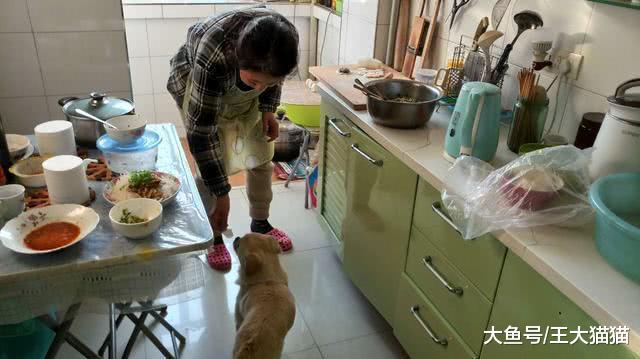 老奶奶和狗，過年兒女不在家老奶奶和狗子一起吃餃子，狗子才是最長情的陪伴