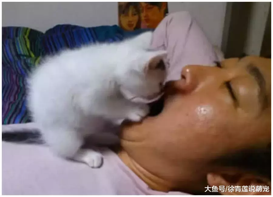 女主下班回家，洗漱完毕准备睡觉，推开卧室门一看顿时不淡定了