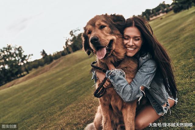 狗狗不会说话，但是它的这些行为是在说爱你