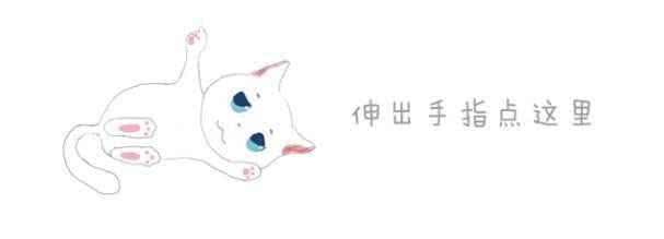 橘猫躺在主人梳妆盒上, 欲偷学铲屎官化妆, 只为撩到隔壁小白猫!