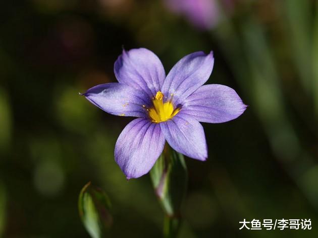 一个老人告诫我：命苦的人，往往会遇到这四件“怪事”