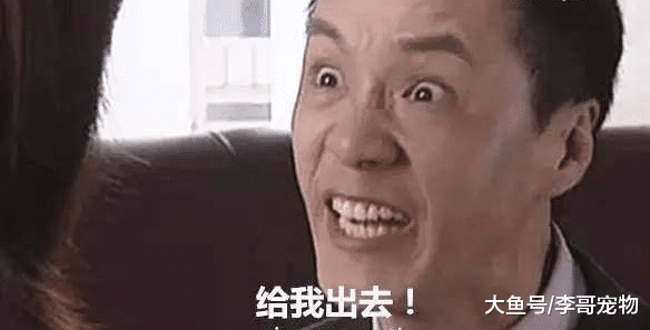 总是演反派，是我们的童年噩梦，内地演技一流，不火但秒杀小鲜肉