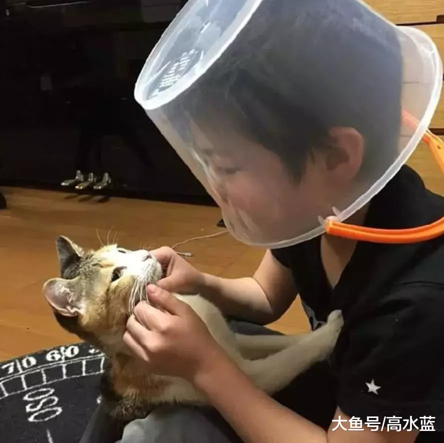 自从被猫咪抓伤后，小男孩每次“吸猫”就这样做，不容易啊