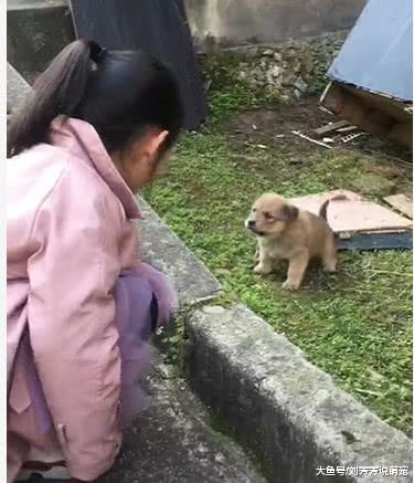 路边看到一个小女孩跟小奶狗吵架，小女孩大吼一声却把它吓尿了！