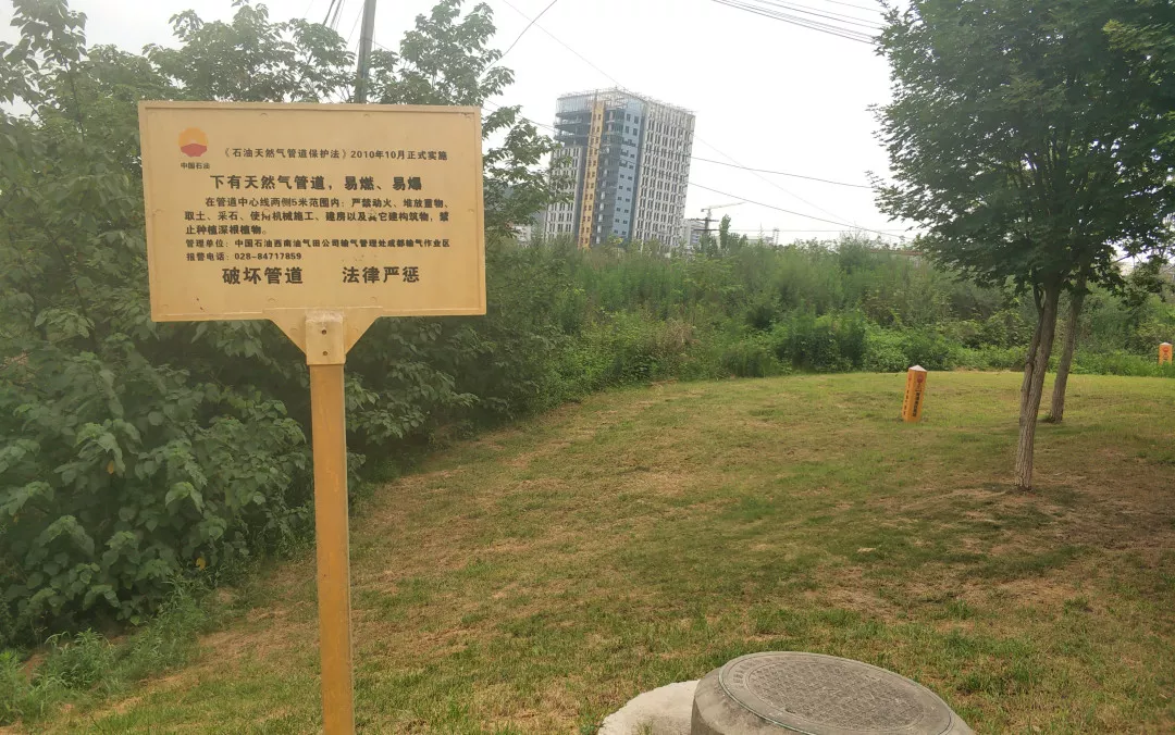 6415元/㎡！天府新区拍了块“白菜地”