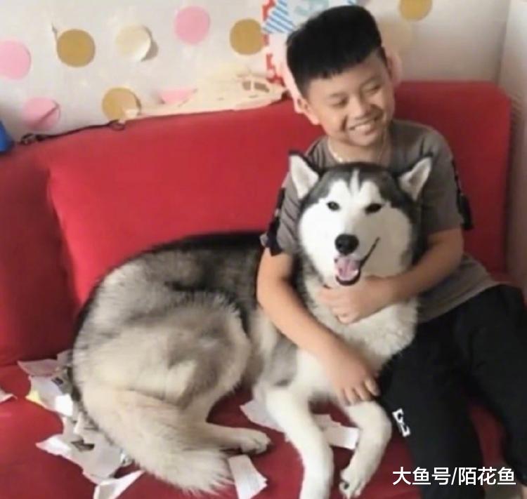 家里二哈把弟弟暑假作业撕了，弟弟一脸悲痛欲绝的样子......