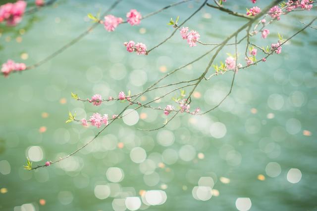 住房公积金是取出来好还是不取出来好呢？