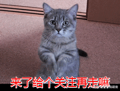 当主人，想让狗狗对你言听计从，就得这么做！