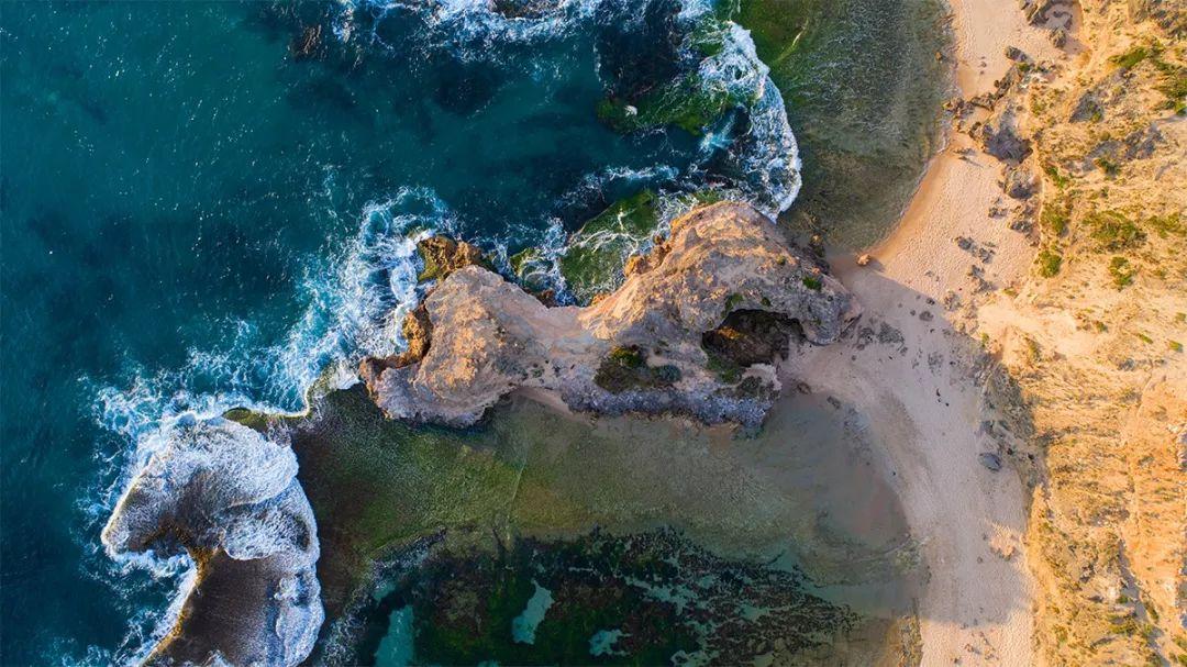 终于, 维多利亚湖300慈鲷, 都离开了故乡