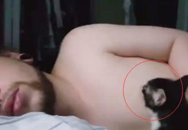 猫咪见男主人睡着后，一口吸上ru头，网友：男人还是不能养猫！