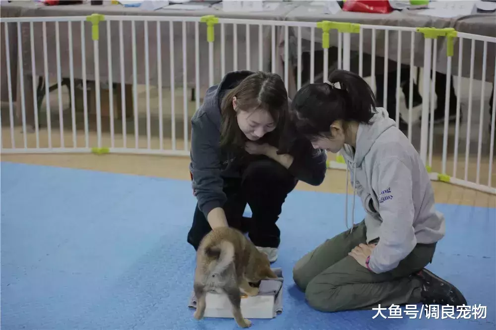 成长总是在不经意间发生||82期专业课进行中